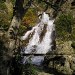 torrent aumessas