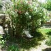 jardin bas escapade