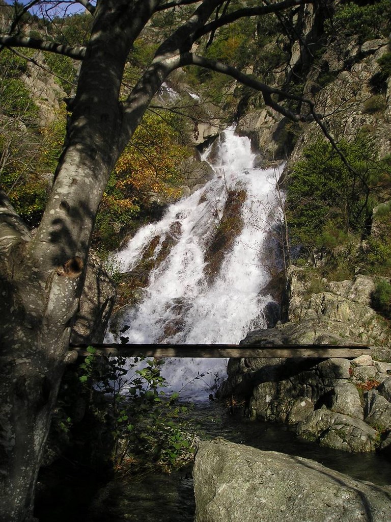 torrent aumessas