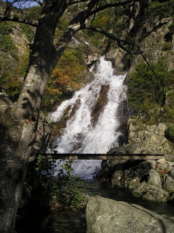 torrent aumessas