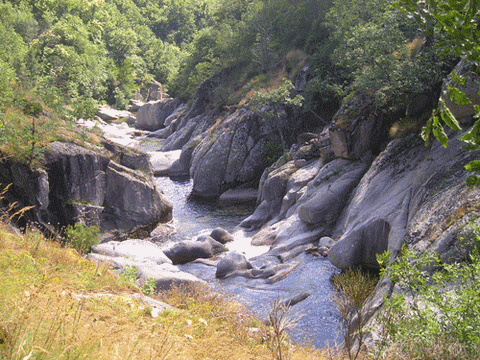 canyon dourbie